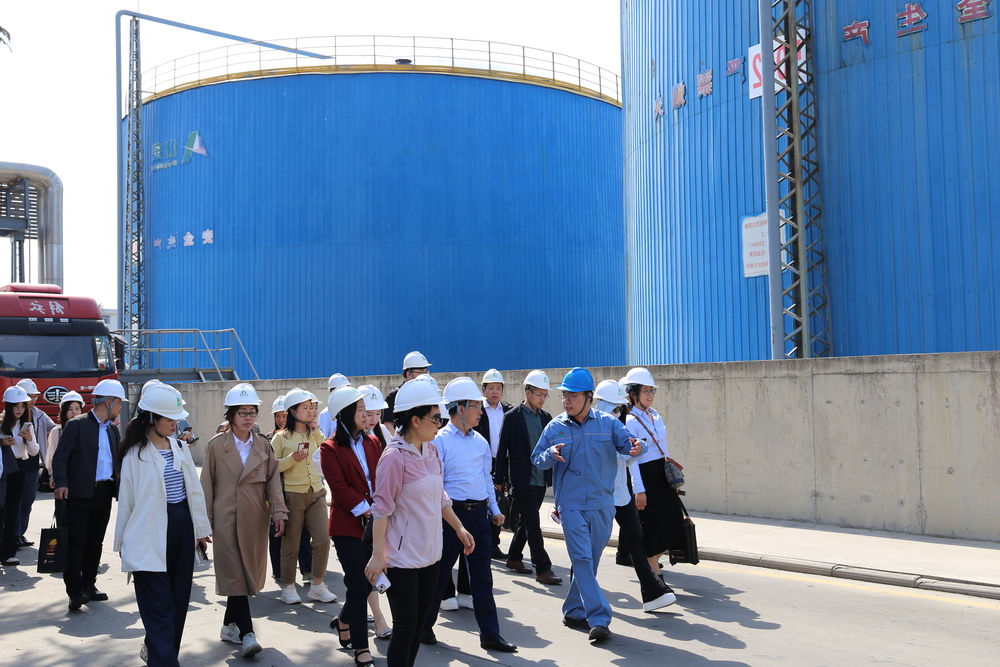 深化产融协同 赋能产业升级——上期大学堂走进新材料集团权属单位开展专题培训活动